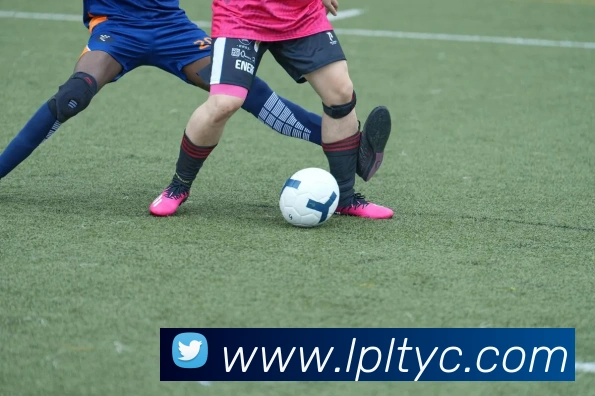 太阳城网站平台生态图