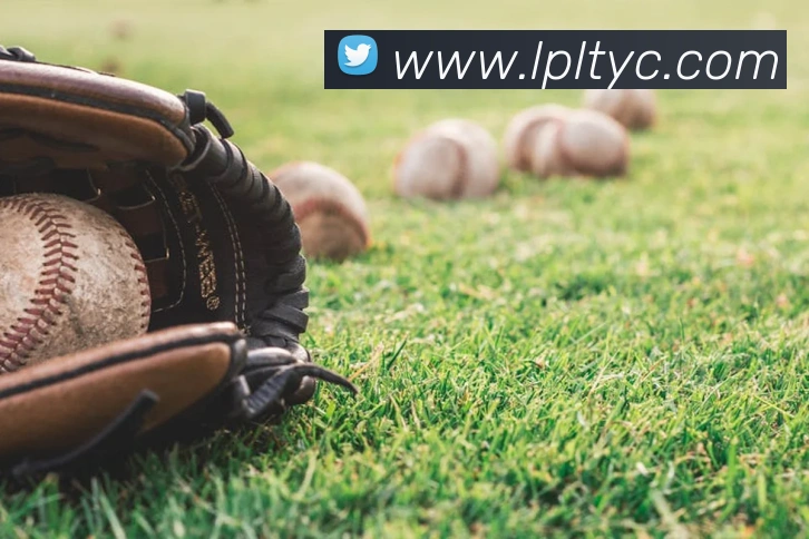 太阳城网站APP 封面图